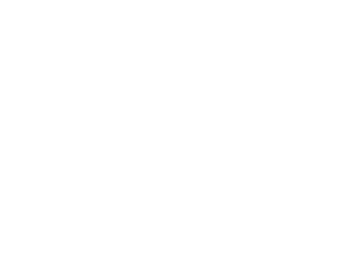 Brush Division Logo